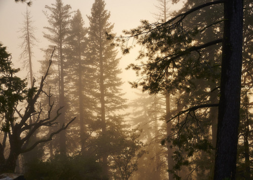 DSC_8196 by Sergei Zuyev on Flickr.