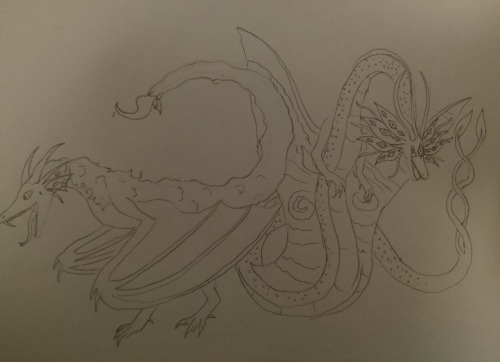 I Started New Drawings.