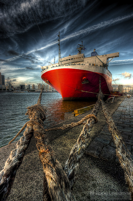 omgshowmetheworld:  Port of Rotterdam,The Netherlands...    