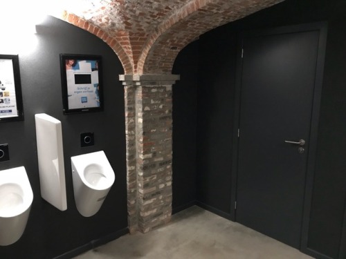 Cool toilets in the cave of Il Capriani Italian restaurant at Docks shopping mall in Brussels.The wa