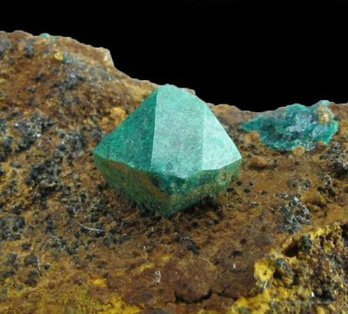 Euchroite The lovely green of copper colours this rare arsenate mineral, named after the Greek for b