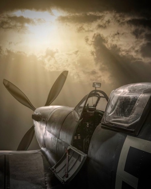 life-is-aviation: utwo: Spitfire© david stoddart The urge to hop in and stake it to the skies i