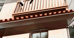 vvictor:  Master! Thank goodness you're safe! 