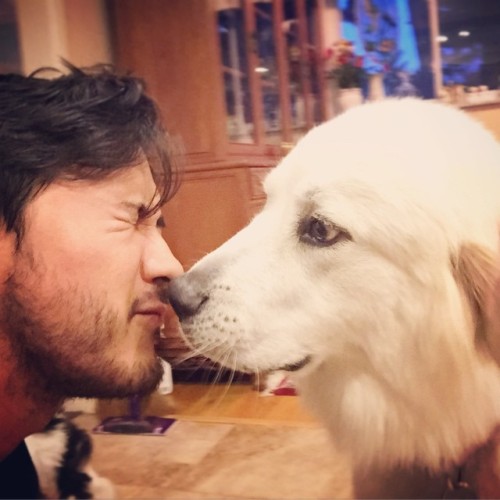 Porn Lucy gave a kiss to welcome me home! #BigDog photos