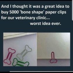 memehumor:  “bone shape”