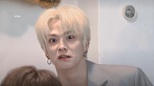 ~I Just Wanna Be Your Meme Boy~