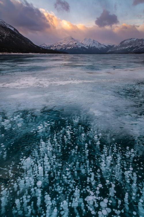 Sex earthporn:Methane Ice Bubbles, Abraham Lake, pictures