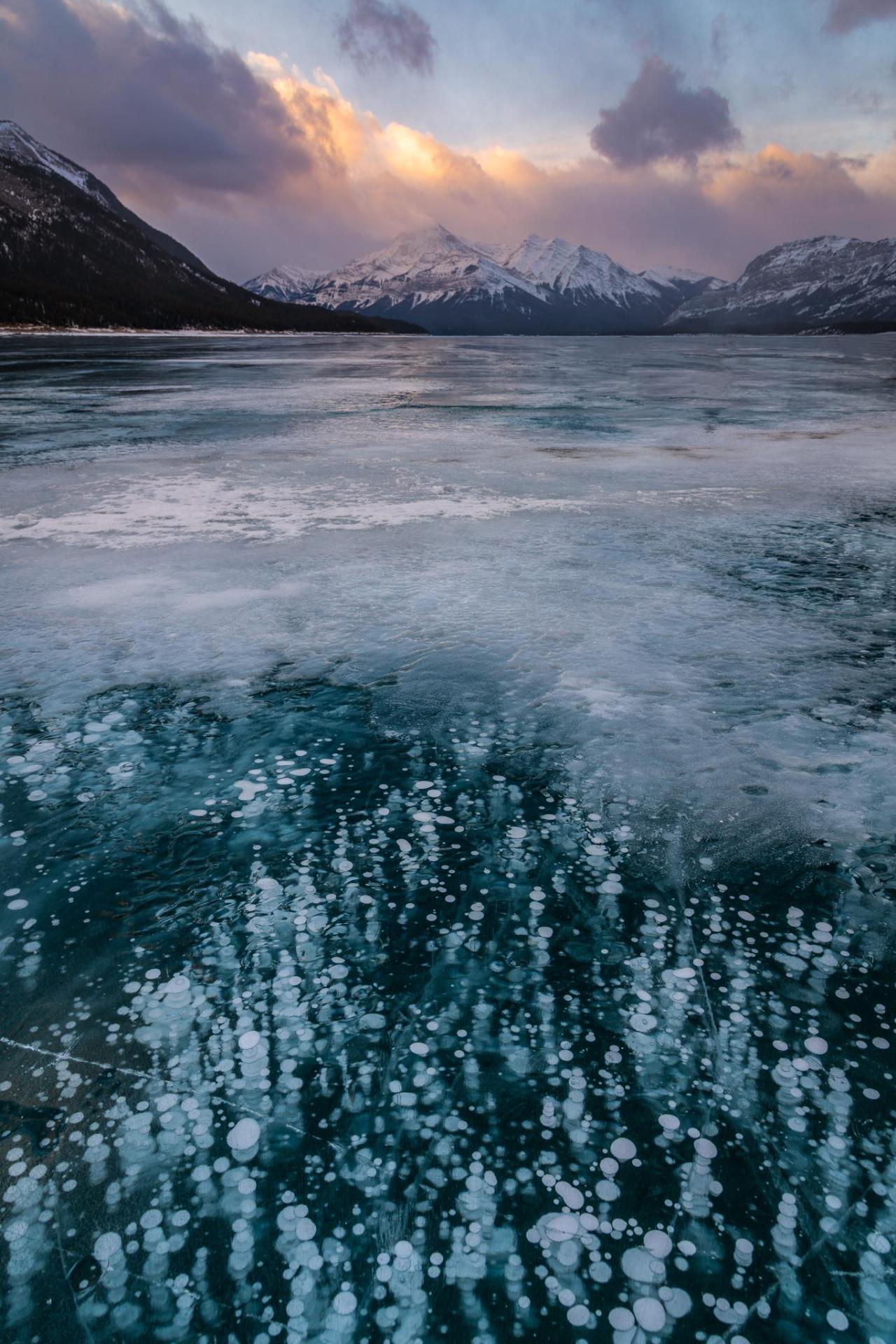 Methane Ice Bubbles, Abraham Lake, Alberta, Canada [OC] [1365x2048] #earth#images#earth pictures #I love earth  #earth is awesome