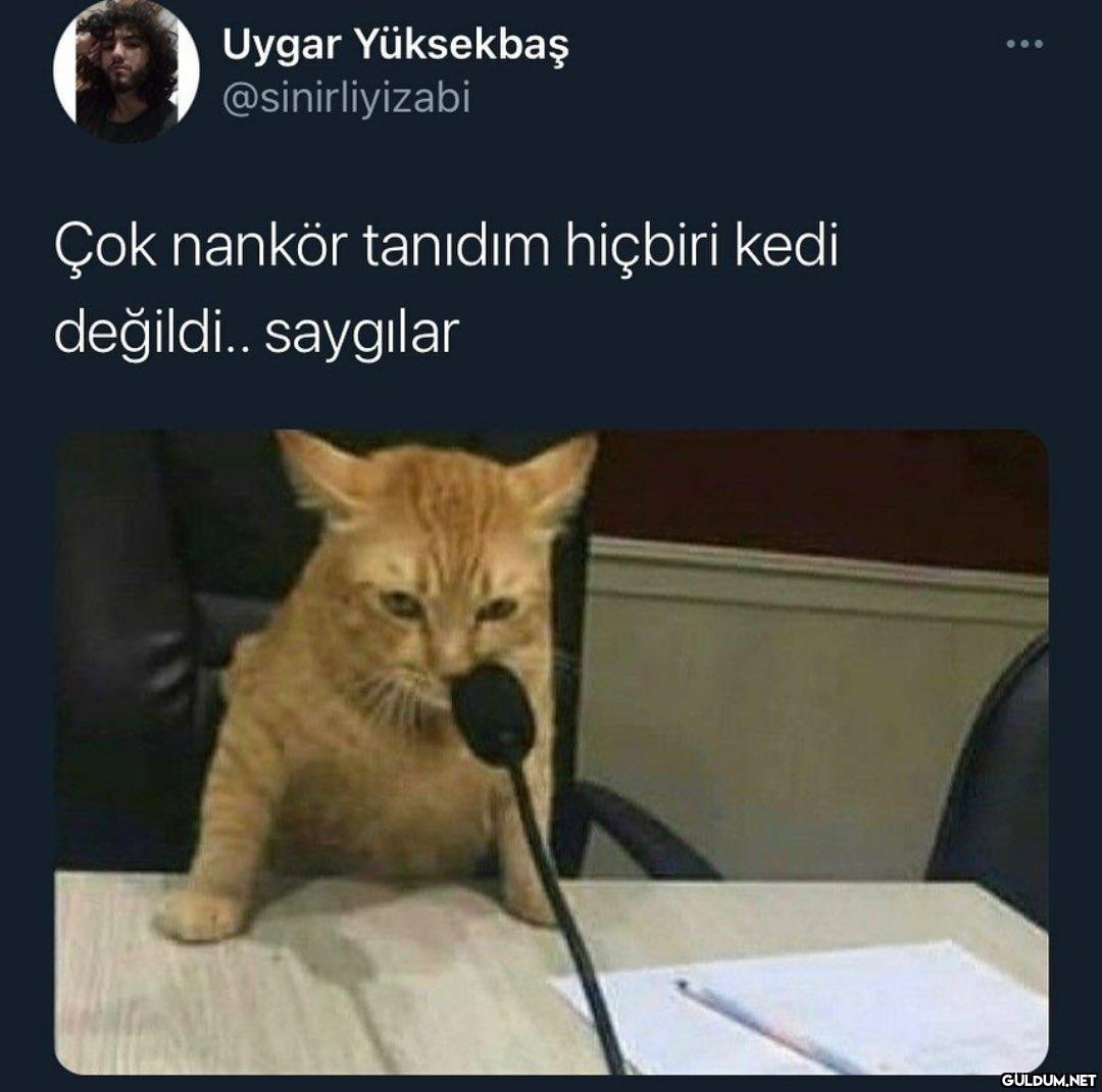 Uygar Yüksekbaş...