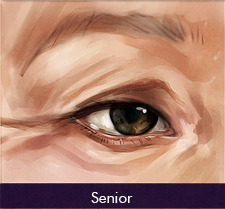 Some eye studies of Asian double lid eyes from young child to elderly. Eyes are referenced from myse