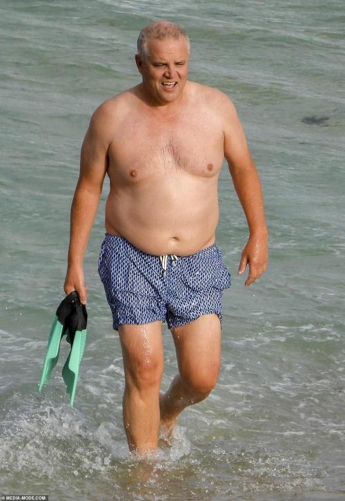 Scott Morrison Fake And without the shorts, Scotty ?Uncensored version here : pigtaurus.newt