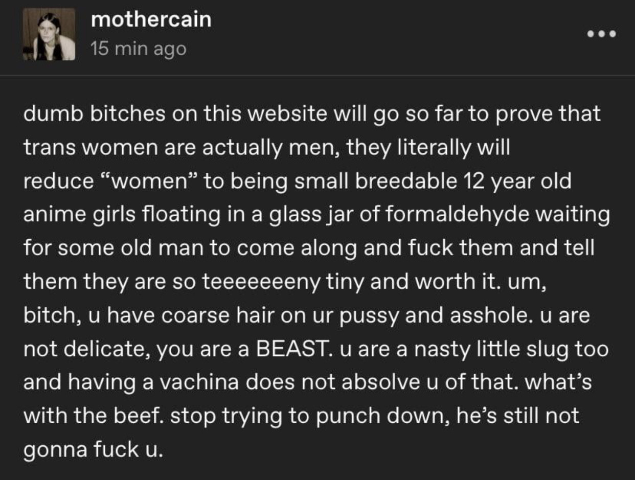 #ethel cain on Tumblr
