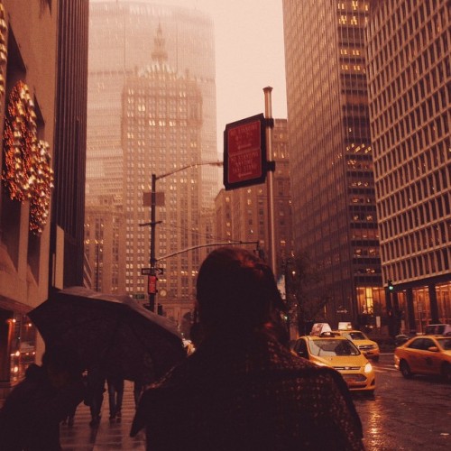 shanestroud:  Park Avenue 