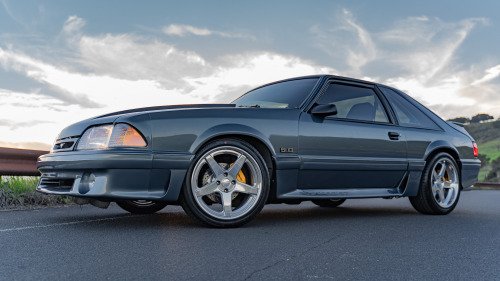 Crazy like a Fox. Mike Smith has owned his 1991 Ford Mustang GT since 2005, but got serious about it