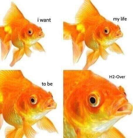 dankmemesreasonforliving:  