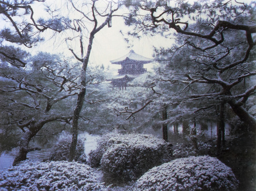 gallowhill:  Stephen Gan, Kyoto, Japan, for Visionaire 41: World, 2005 