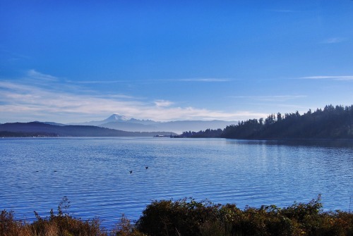  Anacortes - Washington - USA (by annajewelsphotography) Instagram: annajewels