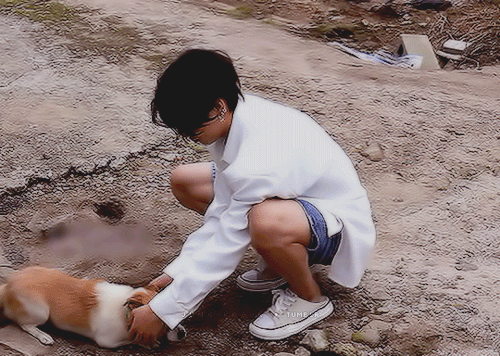 jung-koook: I’m so soft A bunny playing with a puppy