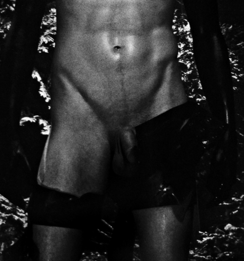 kradhe:   Charlie Gibson by Steven Klein