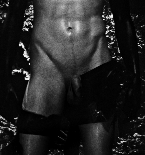 Sex kradhe:   Charlie Gibson by Steven Klein pictures