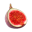 paradisepup
