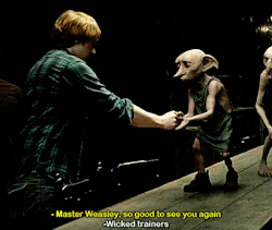 harrypotterconfessions:  out of everything the movies missed, they totally missed out on Dobby’s fantastic fashion sense.
