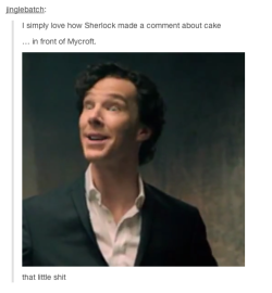 absolutelyevie:  The Aftermath of the Sherlock