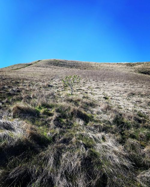 #Views  (At Contra Loma Regional Park) Https://Www.instagram.com/P/Clij_91Rvsi/?Igshid=1A9O8E7Axvzs4