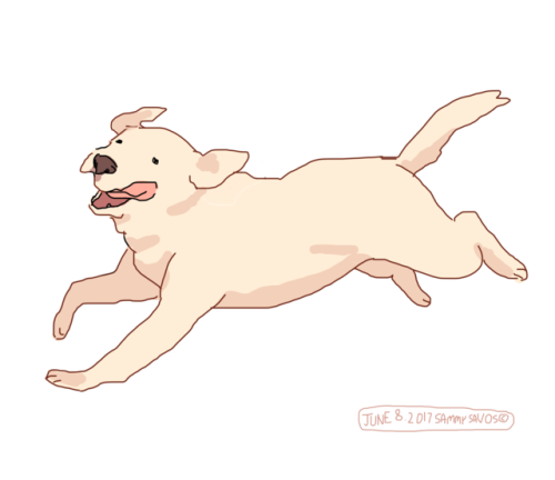 OKAY here is a dog drawn without a tablet as challenged by @mr-no-fairy haha!! it was supposed to be