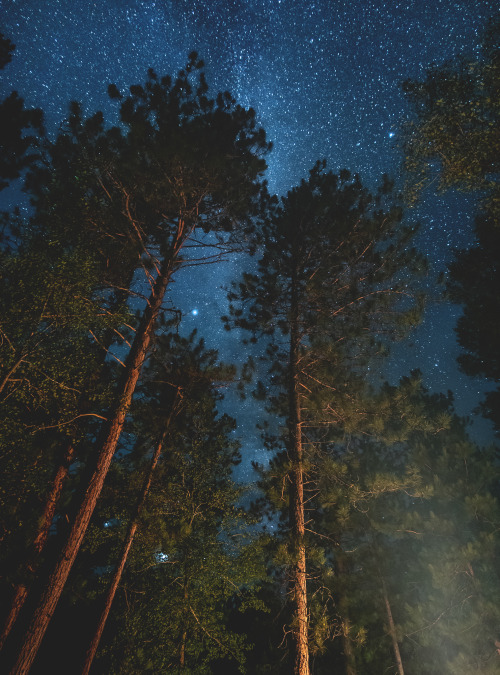 Campfire - Madawaska, Ontario, Canadawww.instagram.com/calebestphotography