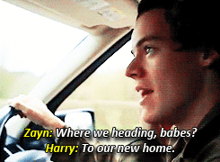 reallytrying:  blkreginageorge:  vitaeaureliana:  katara:  frankoceanfanclub:  harrystylesdildo: