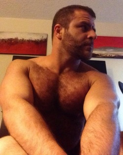 britishmusclecub:  ask 🇬🇧💪🐻 British MuscleCub 