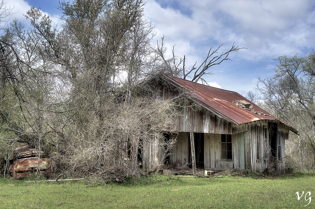 mostlyflowers-by-j:  Somewhere along HWY 183 in south Texas. 