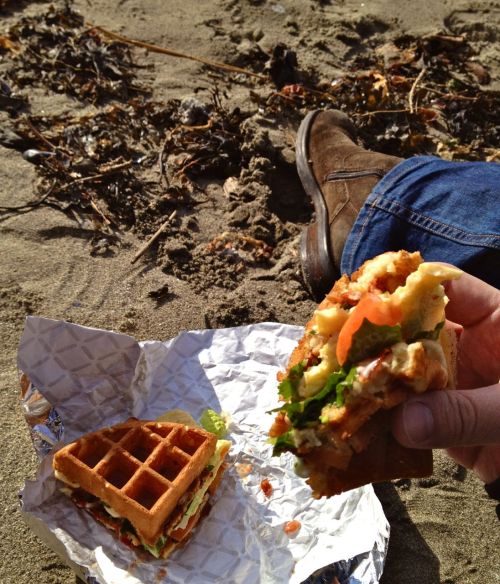 Not exactly a traditional New Year breakfast but it had to be done: Japanese waffle sandwich BELT (b