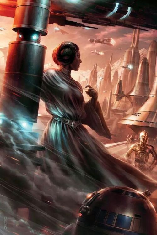 Star WarsCreated by Raymond Swanland