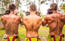 mymodernmet:  Firefighters Pose with Rescue