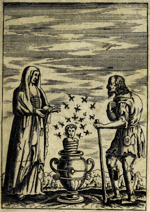 Vaso di Uerità, 1597 