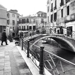 #Venice #Beautiful #Photography #Photooftheday #Interesting #Rt #Travel #Love #Fun