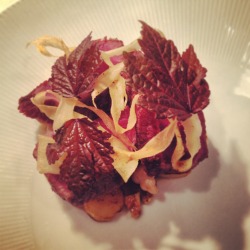 chefnicholaswilkins:  Fall is upon us South texas Antelope, parsnip, walnuts, pickled crosnes, curry, hibiscus