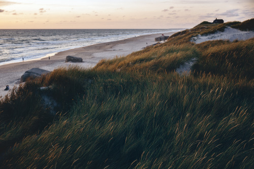 piavalesca:a house in the dunes oh how i miss these views!our denmark trip was canceled this year, t