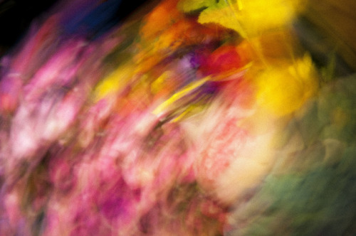 Inflorescence by Madeline Keyes-Levine