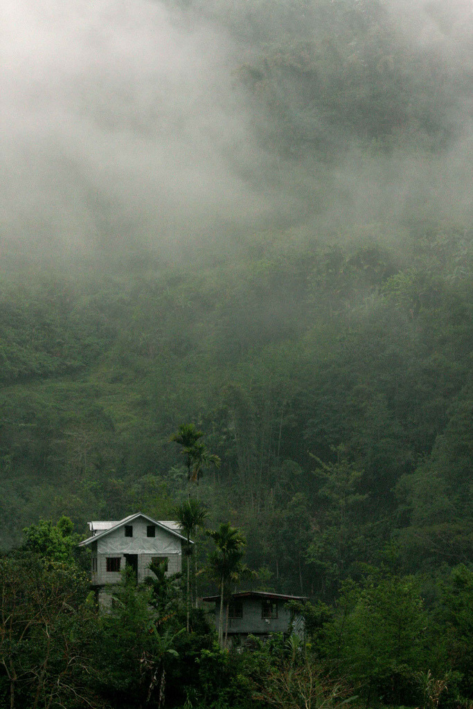 abandonedography:  Mist in the trees above two isolated buildings, Banaue - Karl_Beeney