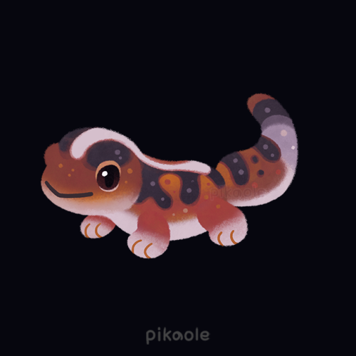 pikaole:Gecko[ Patreon / twitter / insta / galaxy themes / shop ]