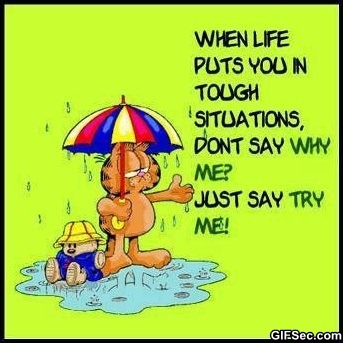 daily quotes on your phone to reminder us be happy every morning