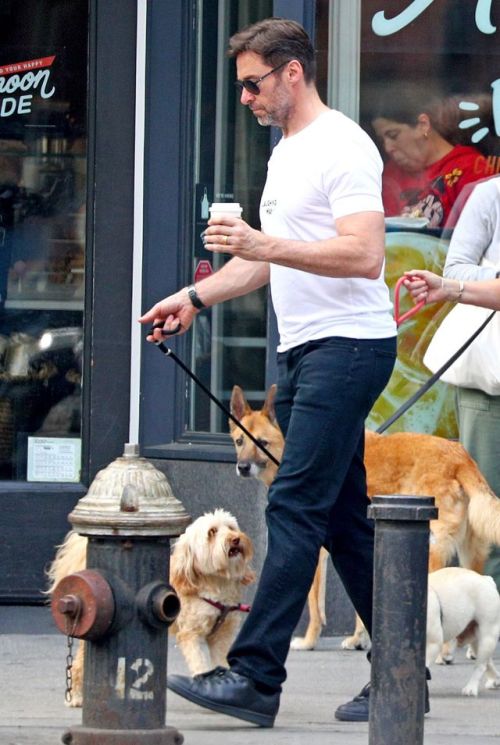 Hugh Jackman Wearing a ‘Laughing Man’ Coffee shop t-shirt out with his wife walking their Dogs Dali 