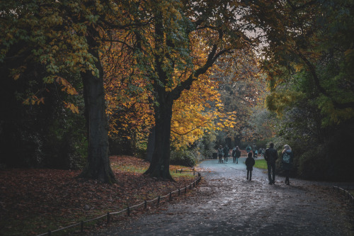 Autumn in Dublin