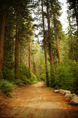 cillium:  Hiking in Yosemite 
