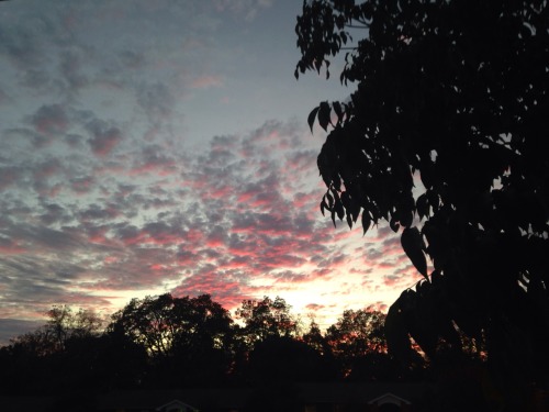 I've Been So Obsessed W/ The Sky Lately. Like Look At How Beautiful It Is.