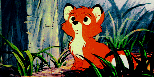 Hey, Disney Lovers!