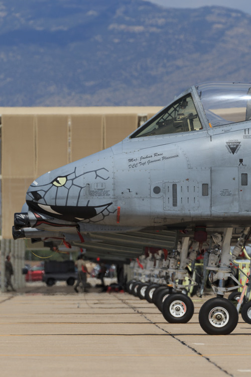 rocketumbl: A-10C Standing by to provide BRRRRRRRTT! support if needed.